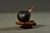 A NATURALISTIC PUTI SEED CARVED SNUFF BOTTLE