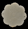 A CARVED WHITE JADE FLOWER PLAQUE