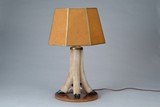 An animal feet lamp