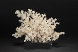A NATURAL WHITE CORAL 'TREE'