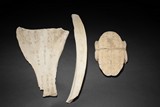 A GROUP OF THREE ORACLE BONE SCRIPTS