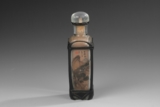 AN INSIDE PAINTED GLASS RECTANGULAR SNUFF BOTTLE