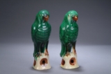 A PAIR OF SANCAI GLAZED PARROTS
