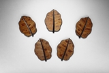 A SET OF FIVE ZITAN WOOD AND MOTTLED BAMBOO SAUCERS