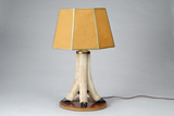 AN ANIMAL FEET LAMP