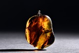AN AMBER PENDANT