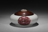 AN UNDERGLAZE COPPER-RED MEDALLION WATERPOT