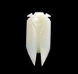 A WHITE JADE CARVING OF CICADA