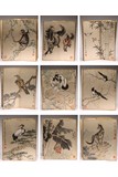 COLOR AND INK 'ANIMALS & BIRDS' ALBUM, XU BEIHONG(1895-1953)