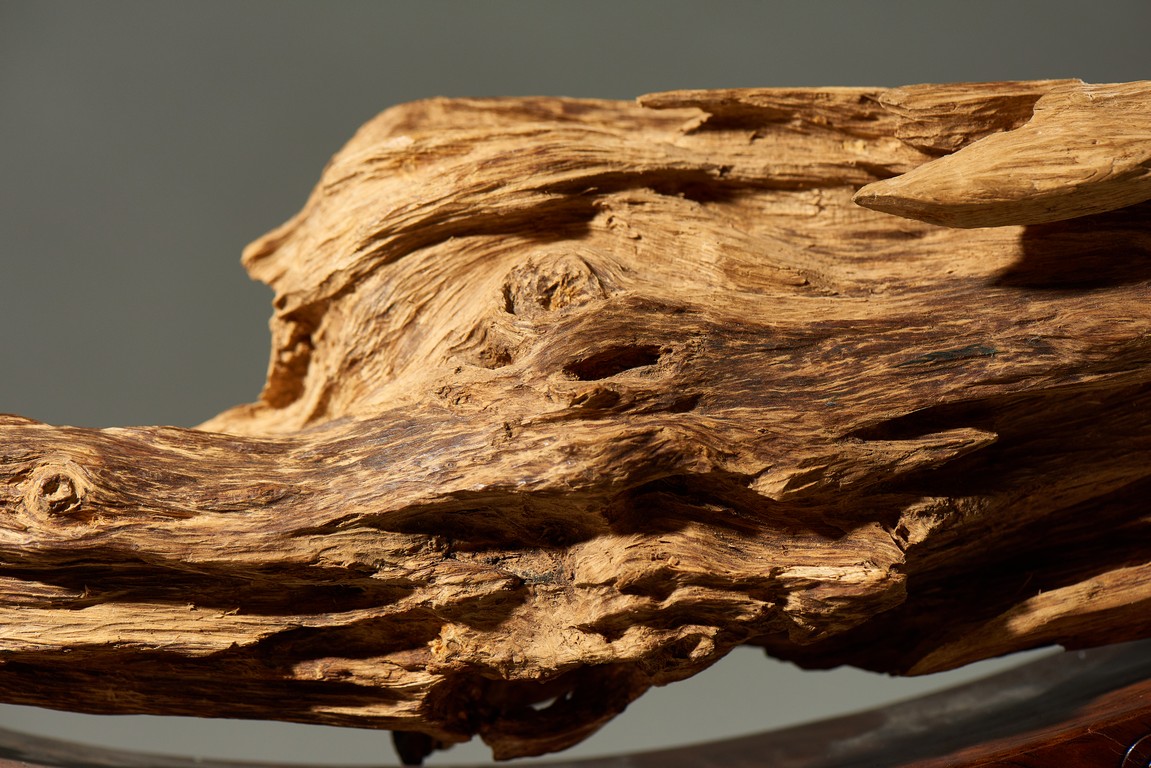 A NATURALISTIC AGARWOOD FORMATION WITH WOOD STAND