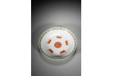 A CHINESE FAMILLE ROSE 'FIVE BATS AND SHOU' DISH