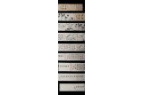A COLOR AND INK 'SPARROW AND FLOWERS' HANDSCROLL