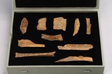 A VERY RARE SET OF CHINESE ORACLE BONE FRAGMENTS(10)