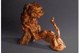 AN USUAL LARGE ROOT WOOD CARVED 'LION' SCULPTURE